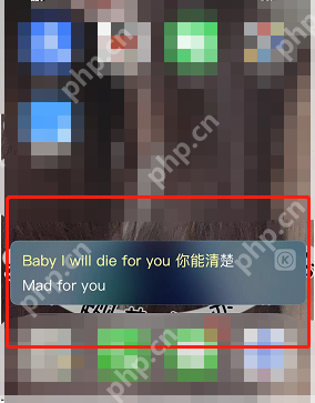 酷狗音乐iOS桌面悬浮歌词怎么设置