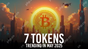 cryptocurrency 시장이 새로운 전략적 축적 단계에 들어감에 따라