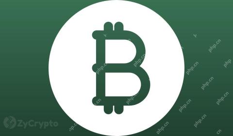Goldman Sachs Doubles Down on Bitcoin With $1.4B IBIT Holdings