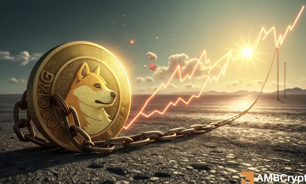 Dogecoin（Doge）看到鲸鱼积蓄了600m硬币，价钱高潮了46％