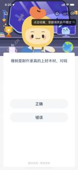 橡树是制作家具的上好木材对嘛