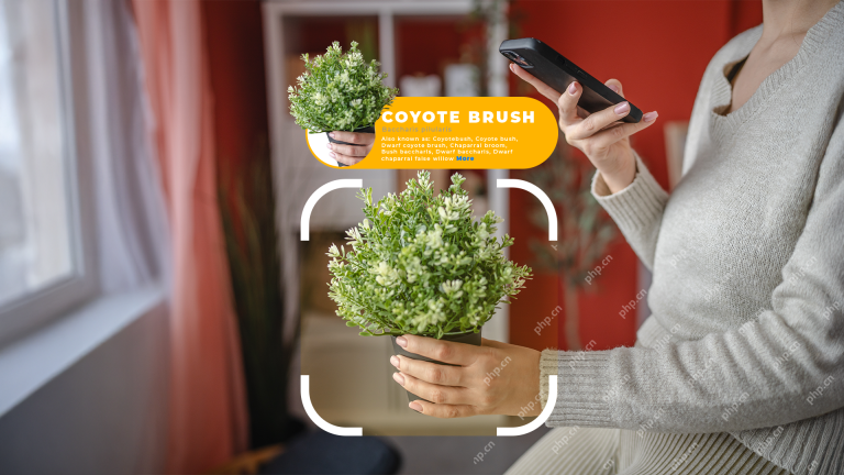 4 Ways This Plant Identification App Has Helped Me This Spring
