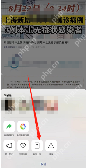 微信视频号自动上滑怎么设置