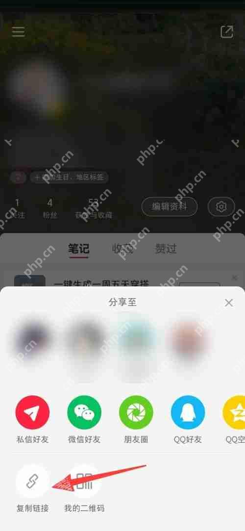 小红书个人主页链接怎么查看