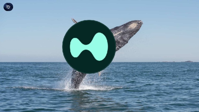 クジラは、5倍のレバレッジで高脂質で2,500万ドルのETH、SOL、およびBTCを短絡させました