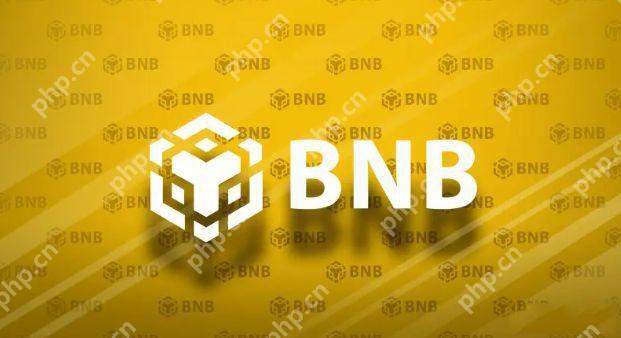 一文让你了解币安币BNB的用途