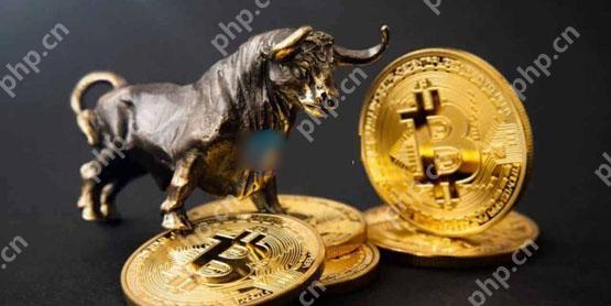 一文了解比特币减半满周年、涨逾三成!机构进场加速牛市