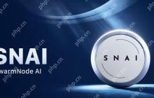 什么是SwarmNode(SNAI)币？如何使用？SNAI代币经济学、价格预测解读