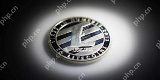 美国SEC再延长Canary Capital的LTC现货ETF详解！但年底过关机率仍被看好