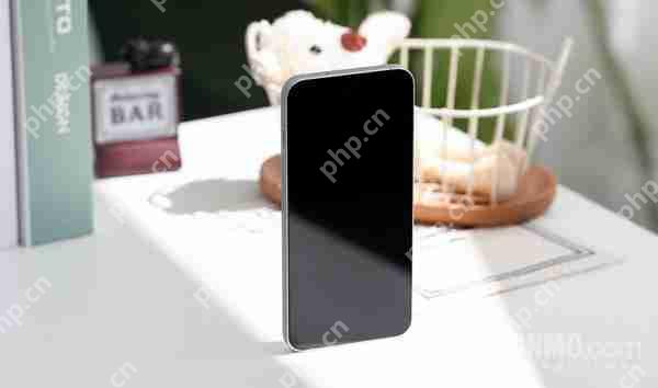 小屏旗舰的极致之选!看看这台一加 13T 你就懂了