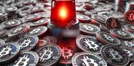 cryptoquant预报：链上动能偏弱 比特币反弹恐不慎重