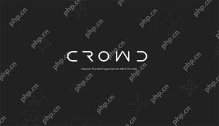 CWD 코인의 총량은 얼마입니까? CWD 코인 발행 소개