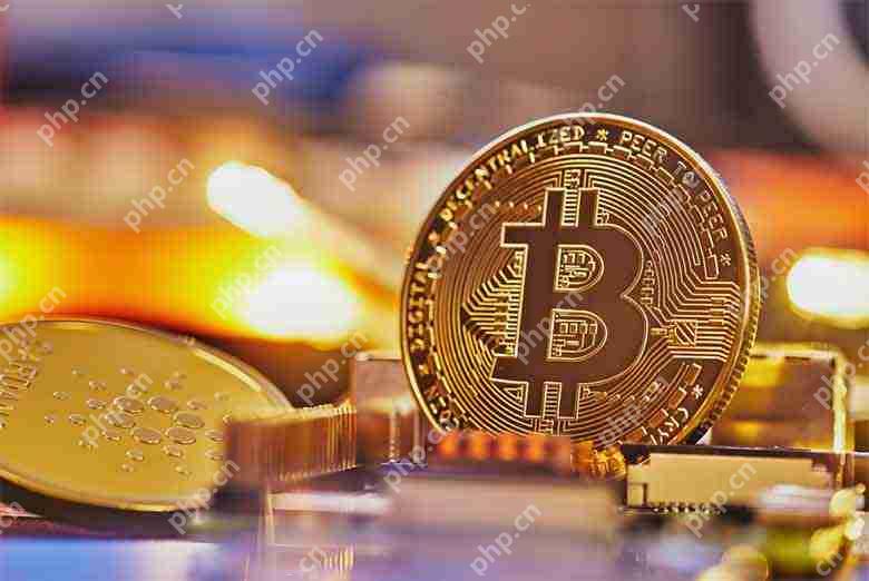 什么是战略性比特币储备?比特币储备的现实案例