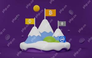 cryptocurrencies가 절정에 도달하는시기를 말하는 방법은 무엇입니까? 인기있는 시장에 대한 최고의 기술 분석 지표