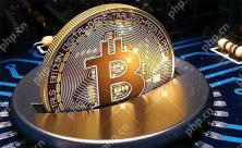 Bitwise explains: What other reasons are needed to buy BTC