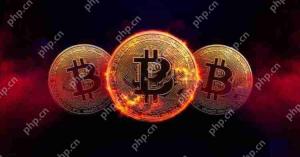 ビットコインETFとは何ですか?ビットコインETF流入と流出データを照会する方法