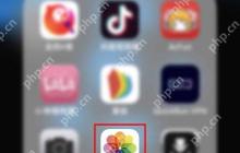 删除的照片如何恢复?教程来了!