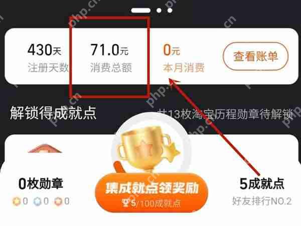 淘宝消费总额怎么看