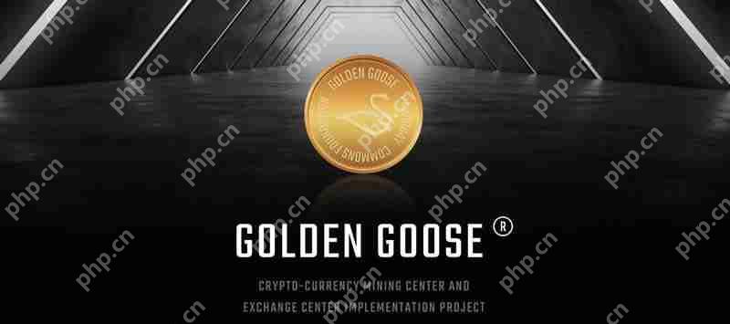GOLD是什麼幣種？GOLD/黃金鵝幣項目全面介紹
