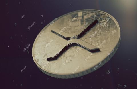 XRP Futures is coming, CME Group expands institutional adoption of tokens