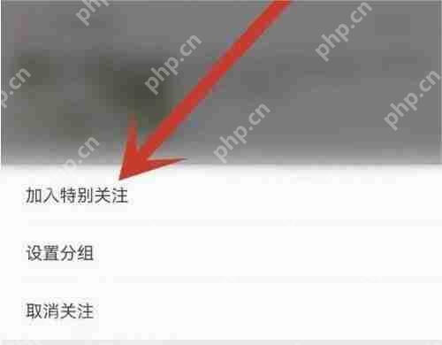 哔哩哔哩特别关注怎么设置