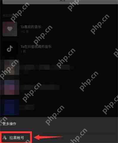 汽水音乐怎么拉黑账户