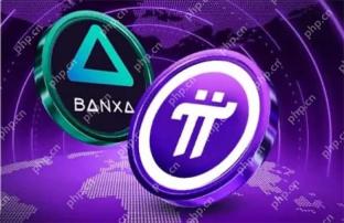 Pi Coin kini boleh didapati di lebih daripada 100 negara melalui Banxa KYB
