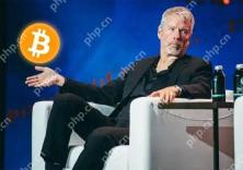 マイケル・セイラーを理解するための記事は、再びマイクロソフトにビットコインを購入するよう呼びかけています:米国債と株式買い物率が低すぎる