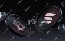 比特币与 Solana：全面对比