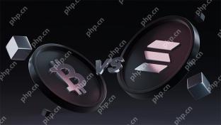 ビットコインvs.ソラナ:包括的な比較