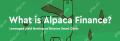 What is ALPACA currency? After Binance was removed, the price of the coin soared. What is the future prospect of $ALPACA?