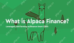 ALPACA幣是什麼?下架幣安後幣價飆漲,$ALPACA未來前景如何?