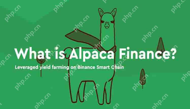 ALPACA幣是什麼？下架幣安後幣價飆漲，$ALPACA未來前景如何？