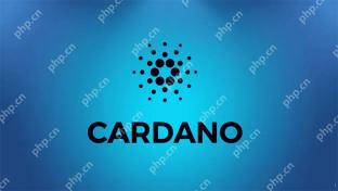 Cardano(ADA)2025–2028 年 10 倍潛力解析:智能合約平台的價值重估之路