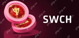 SWCH是什麼幣種?值得投資嗎?SWCH幣詳細購買教程