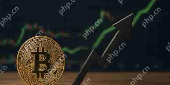 國際清算銀行bis分析：全球經濟壓力下比特幣使用量逆勢增長