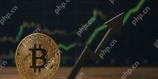 國際清算銀行BIS分析:全球經濟壓力下比特幣使用量逆勢增長
