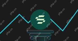 What is Solayer(LAYER)? Solayer Token Economics and Price Forecast
