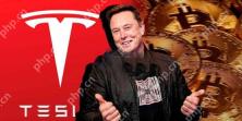 特斯拉公佈第1季度財報:營收不達標導讀!但仍然沒有賣出比特幣