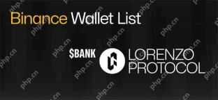 Lorenzo Protocol 的 BANK 暴涨后将如何发展?是反弹还是回调?