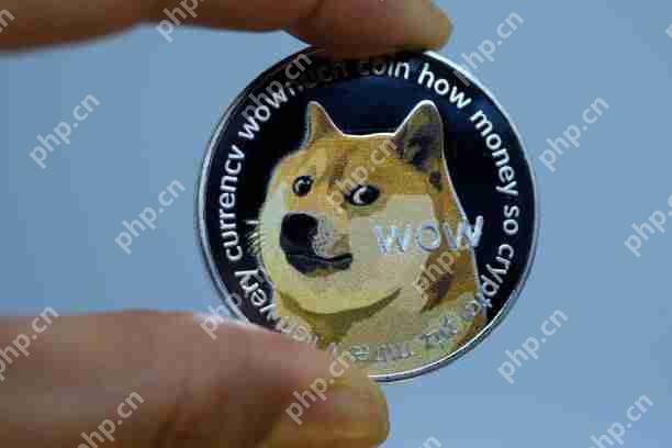 Dogecoin(Doge)的价格行动表明,即将集会至0.27美元