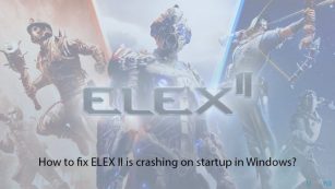 How to fix ELEX II is crashing on startup in Windows?