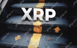 2025 년 5 월에 XRP가 떨어진 이유는 무엇입니까? 다음은 5 가지 주요 이유가 있습니다