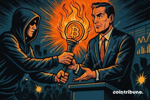 Bitcoin captured by the company: Going towards crypto oligopolisia?