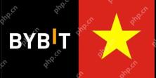 베트남은 cryptocurrency 교환의 시범 프로그램을 자세히 시작합니다! Bybit에서 제공하는 기술 지원