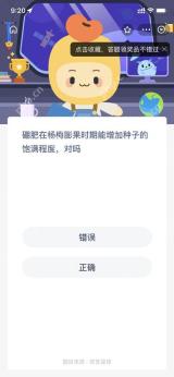 硼肥在杨梅膨果时期能增加种子的饱满程度对吗