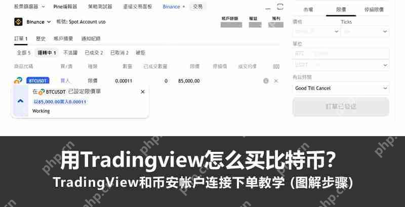 用Tradingview怎么买比特币?TradingView和币安帐户连接下单教学 (图解步骤)