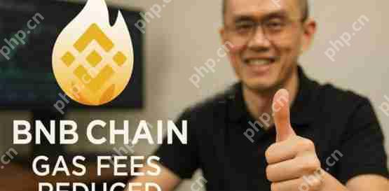 喜讯赵长鹏提议将bnb chaingas费降低3～10倍！引发社群讨论