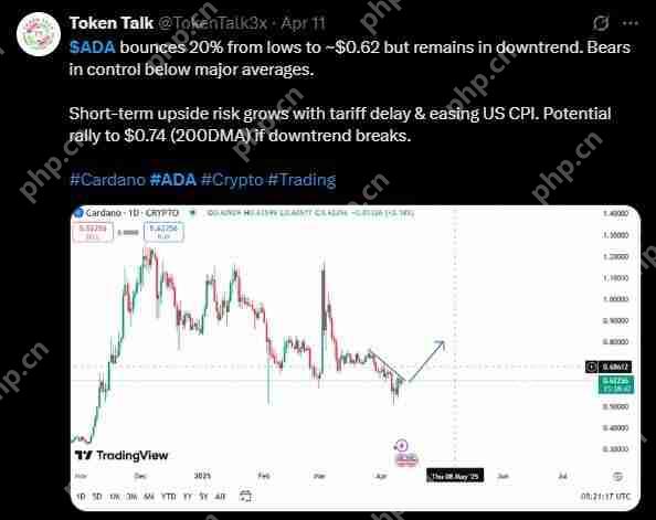 艾达币 (ADA) 价格预测: 2025年、2026年、2027–2030年及以后 - php中文网