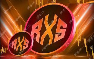 Rexas Finance 价格预测：2025年RXS 能达到 1 美元吗？
